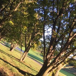 Meet your Posher, Luke